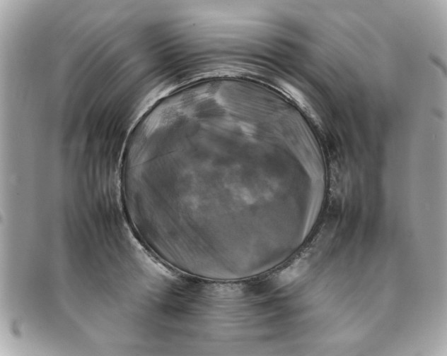 X0000097780802200803211757