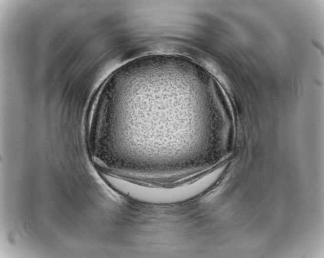 X0000097780803200803211757