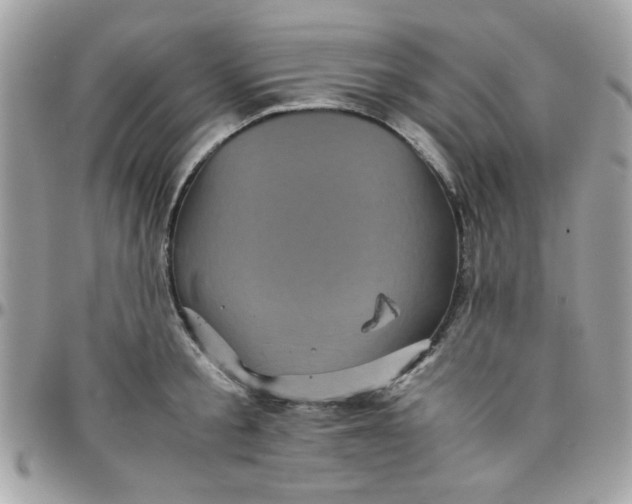 X0000097780805200803211757