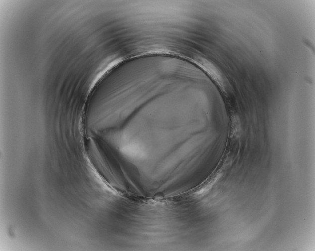 X0000097780806200803211757