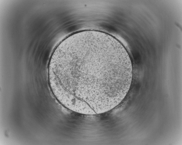 X0000097780807200803211757