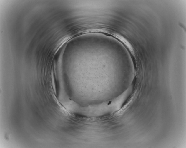 X0000097780809200803211757