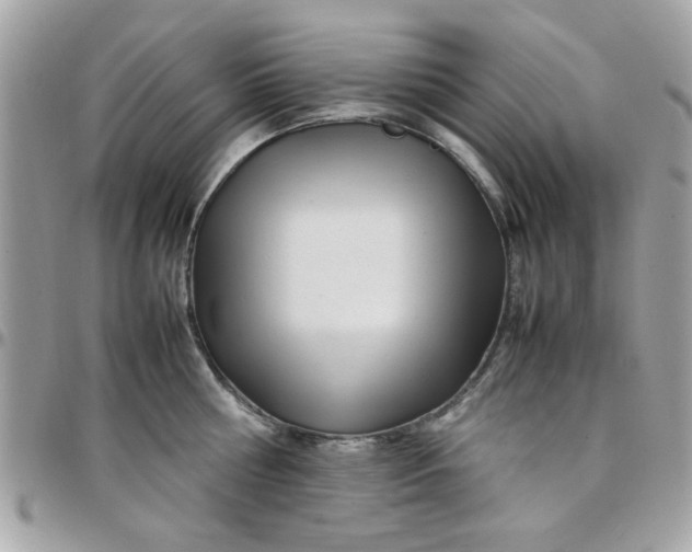 X0000097780810200803211757