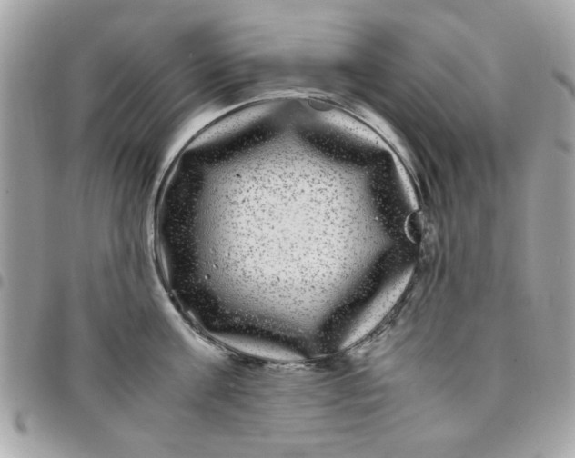 X0000097780811200803211757