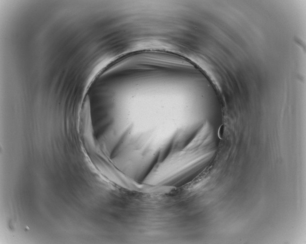 X0000097780815200803211757