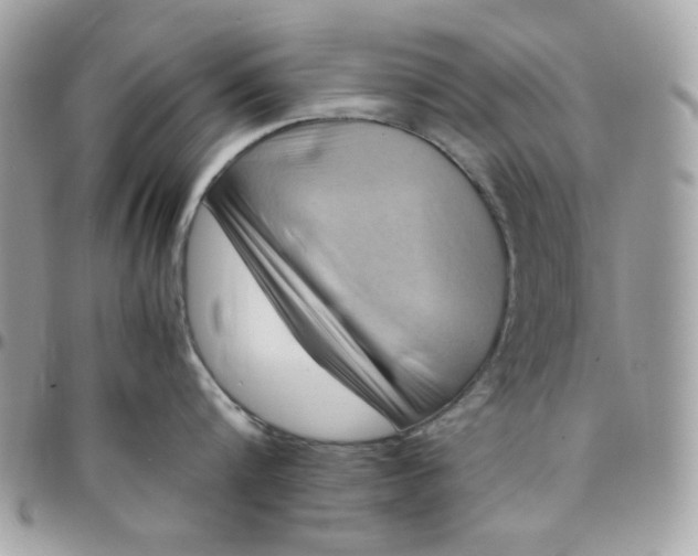 X0000097780816200803211757