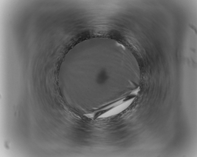 X0000097780817200803211756