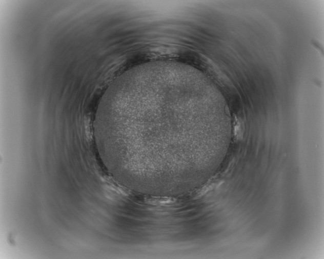 X0000097780819200803211757