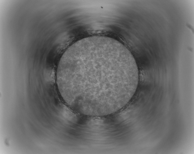 X0000097780820200803211757