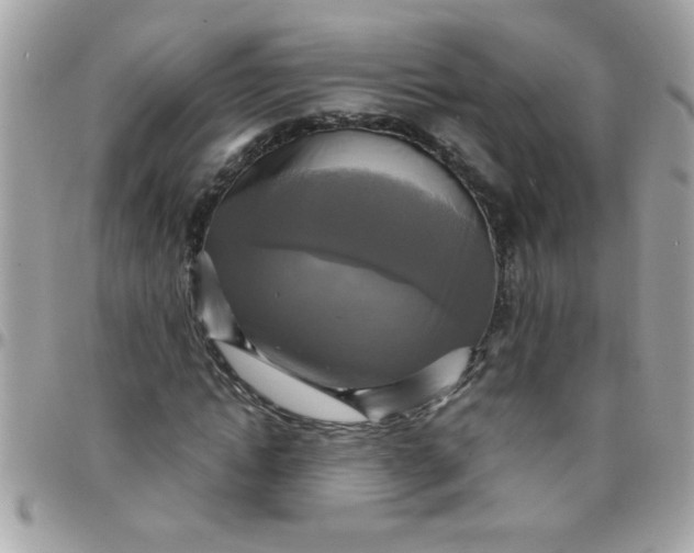 X0000097780822200803211757