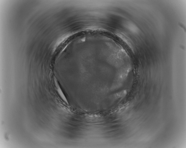 X0000097780823200803211757