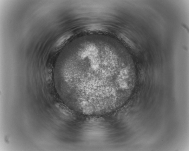 X0000097780824200803211757