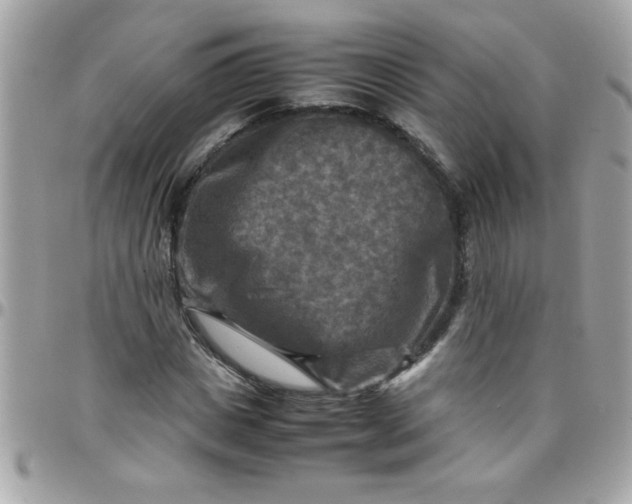 X0000097780825200803211757