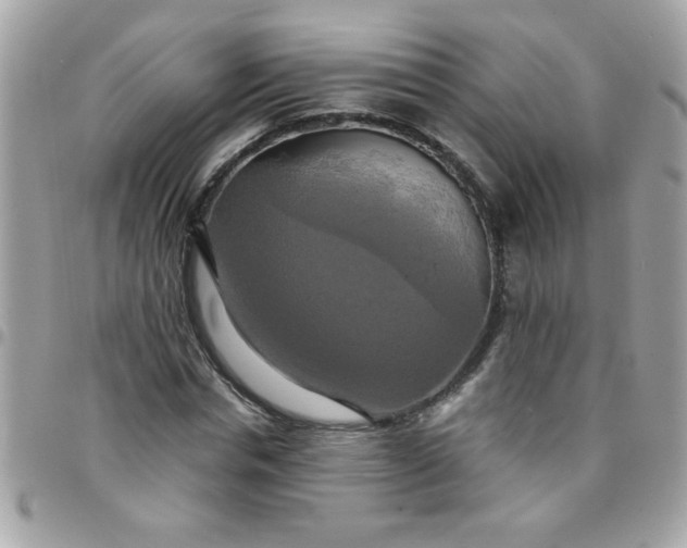 X0000097780826200803211757