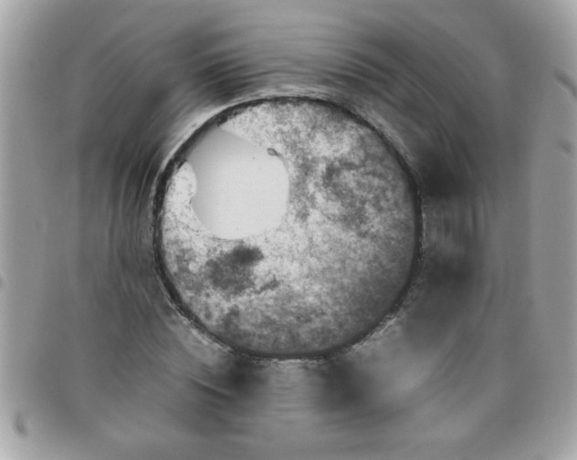 X0000097780828200803211757