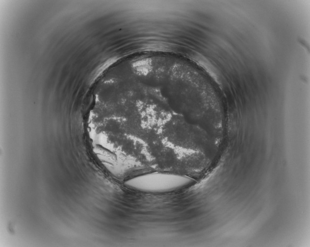 X0000097780829200803211757