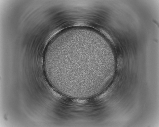 X0000097780831200803211757