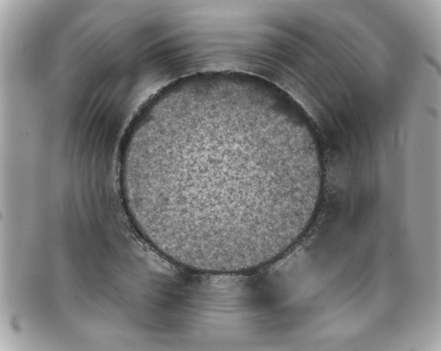 X0000097780832200803211757