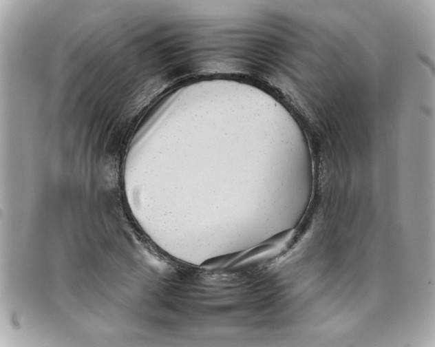 X0000097780833200803211757