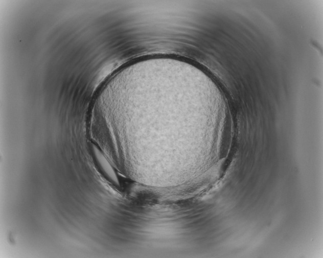 X0000097780834200803211757