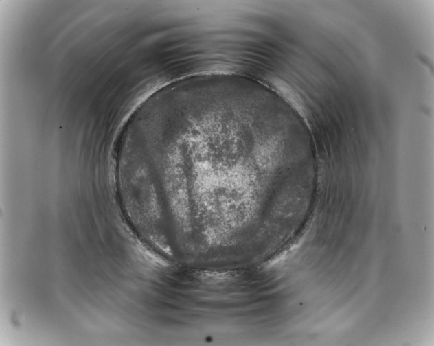 X0000097780835200803211757