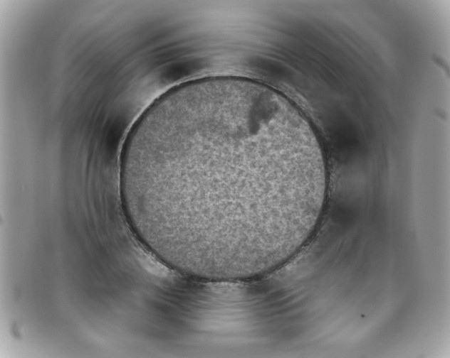 X0000097780836200803211757