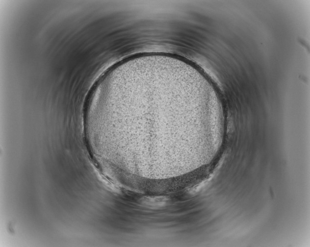 X0000097780837200803211757