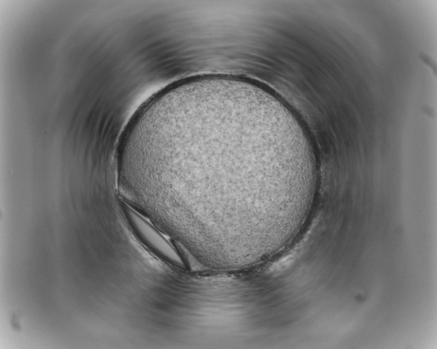 X0000097780838200803211757