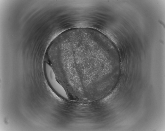 X0000097780839200803211757