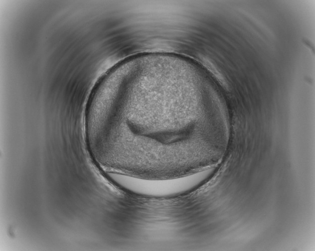 X0000097780840200803211757