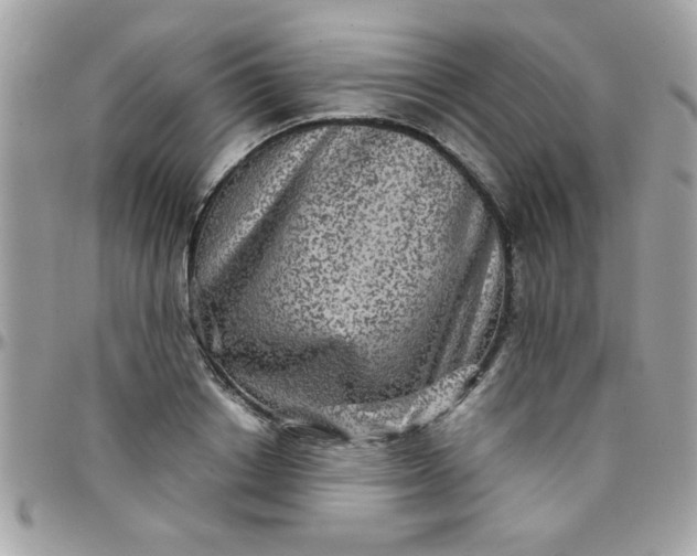 X0000097780842200803211757