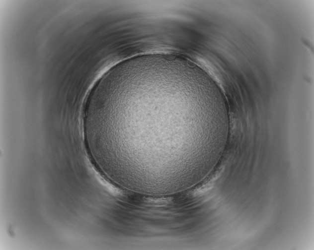 X0000097780843200803211757