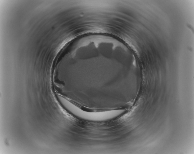 X0000097780845200803211757