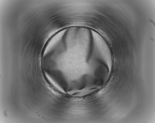 X0000097780846200803211757