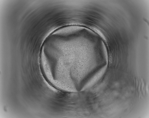 X0000097780847200803211757