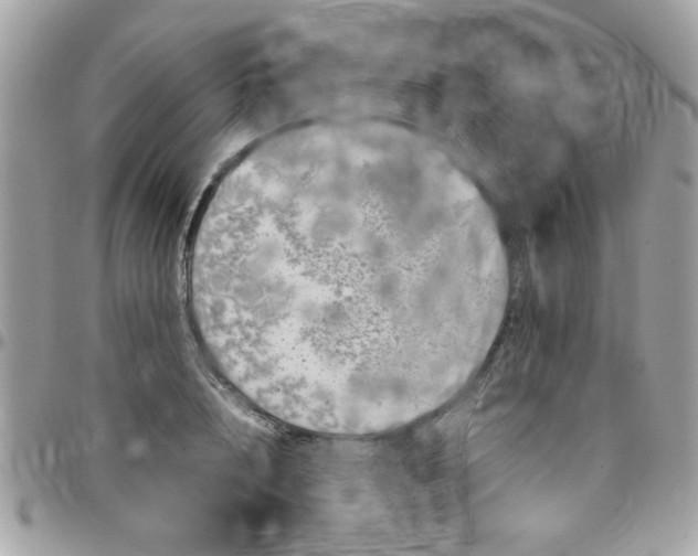 X0000097780848200803211757