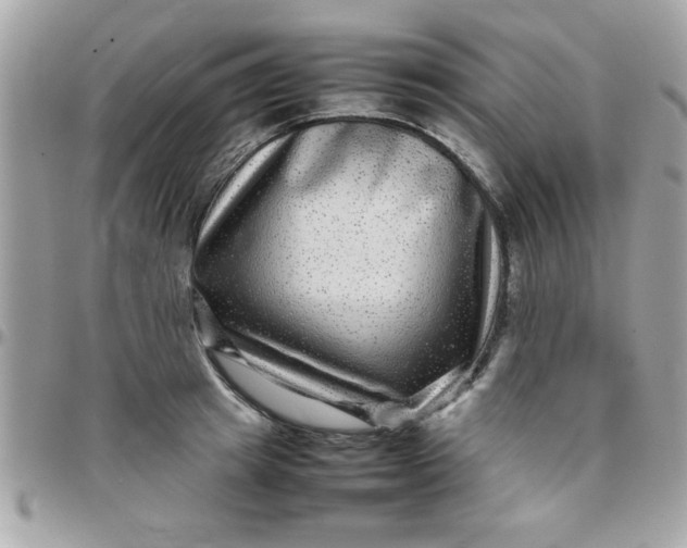 X0000097780849200803211757