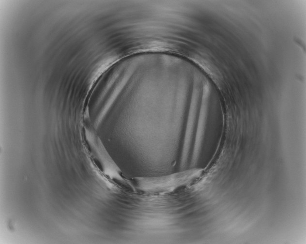 X0000097780850200803211757