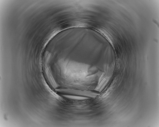 X0000097780851200803211757