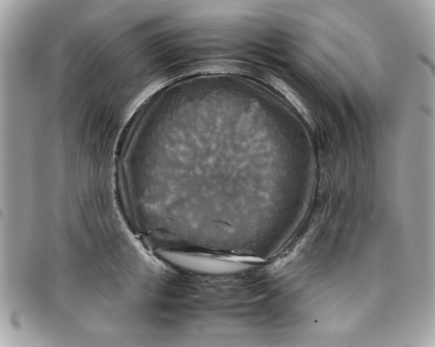 X0000097780853200803211757