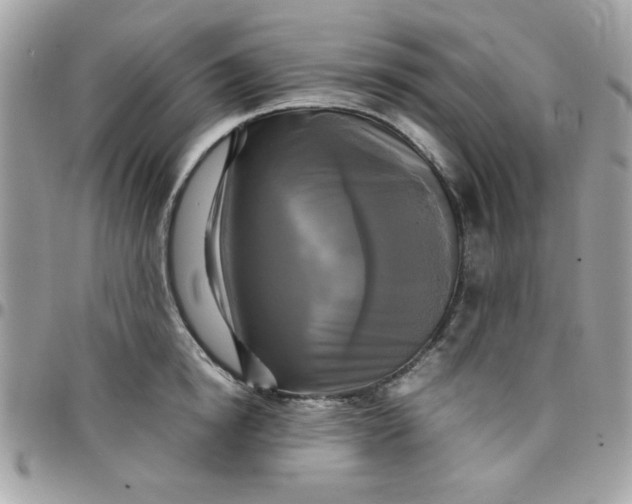 X0000097780854200803211757