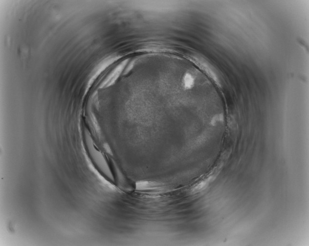 X0000097780855200803211757