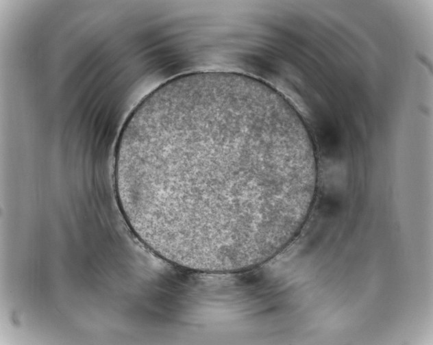 X0000097780856200803211757