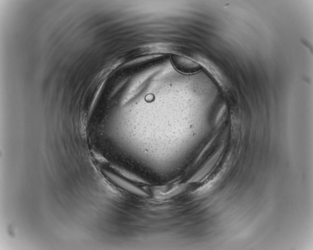 X0000097780857200803211757