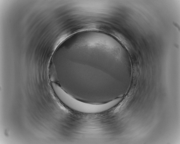 X0000097780858200803211757