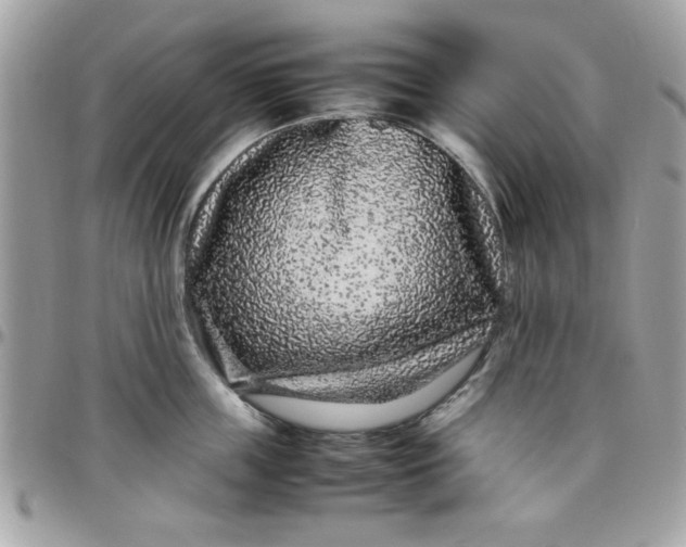 X0000097780859200803211757