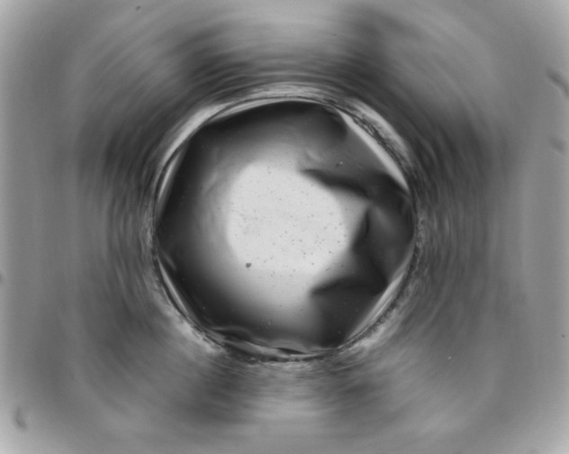 X0000097780860200803211757