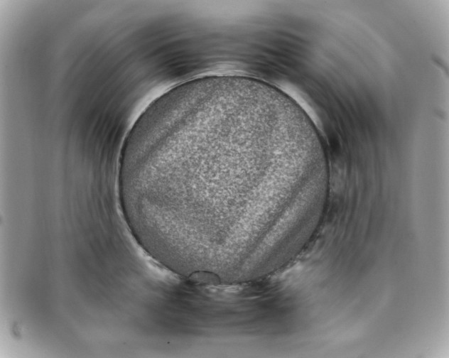 X0000097780861200803211757