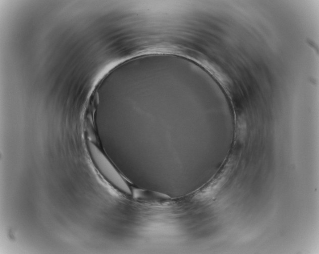 X0000097780862200803211757