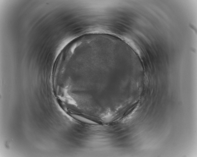 X0000097780863200803211757